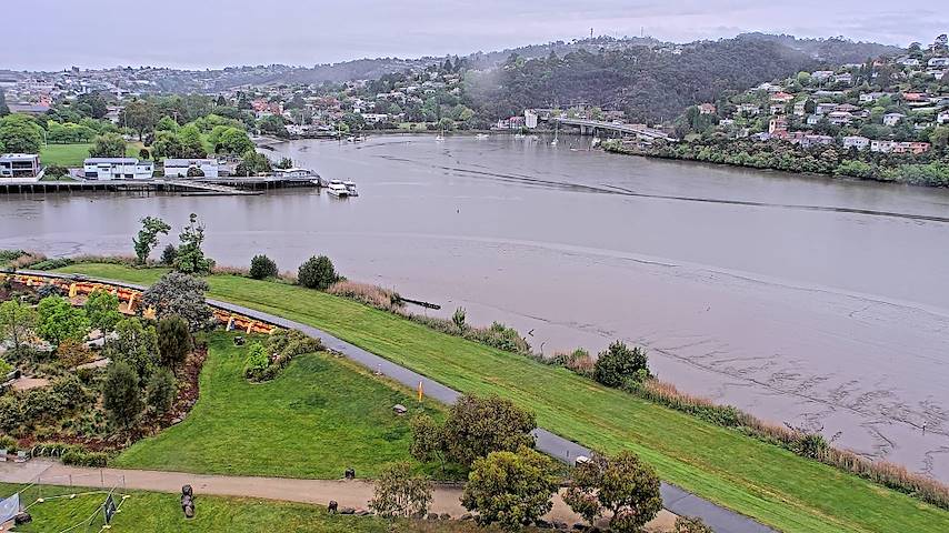 Živý kamerový kanál z Tamar Estuary v Launceston, Tasmania
