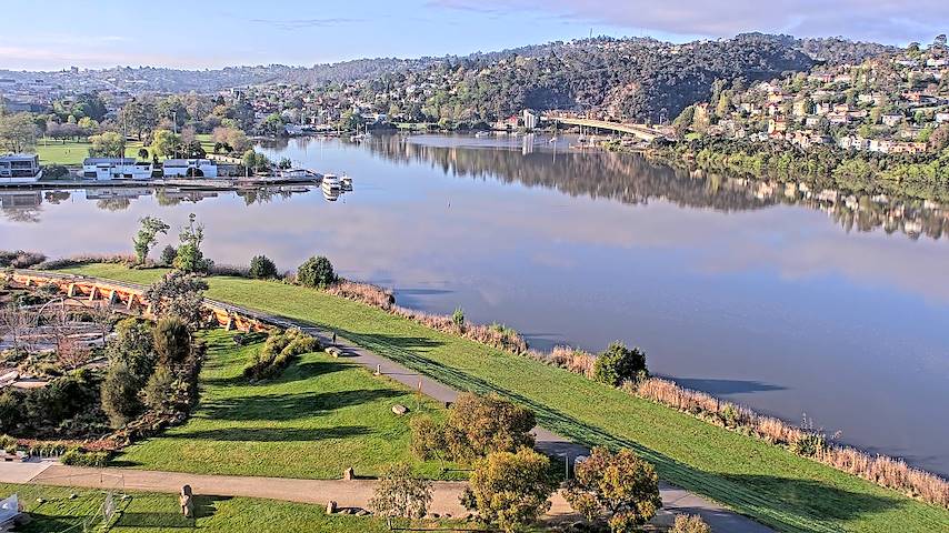 Live camera feed from Tamar Estuary in Launceston, Tasmania