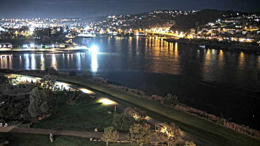 Tamar Estuary Image