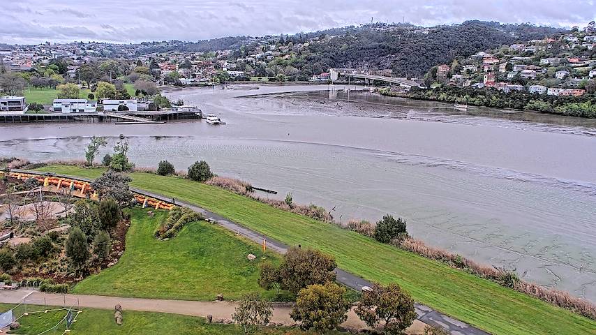 Live camera feed from Tamar Estuary in Launceston, Tasmania