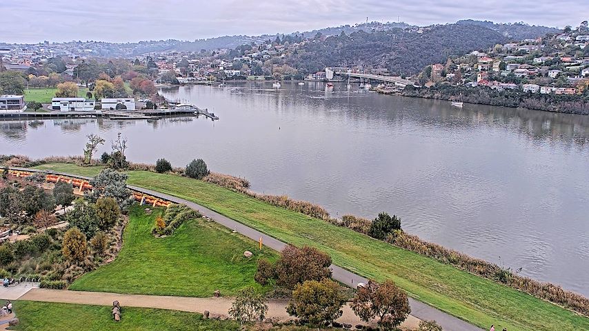 Tamar Estuary Image