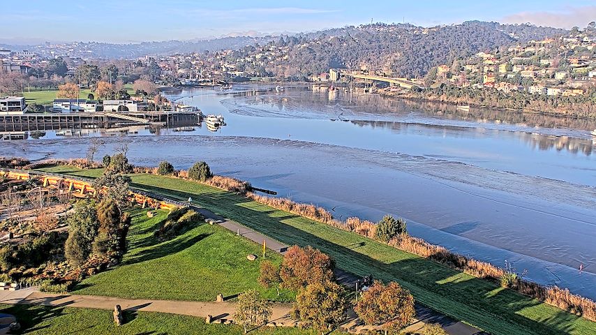 Živý kamerový kanál z Tamar Estuary v Launceston, Tasmania