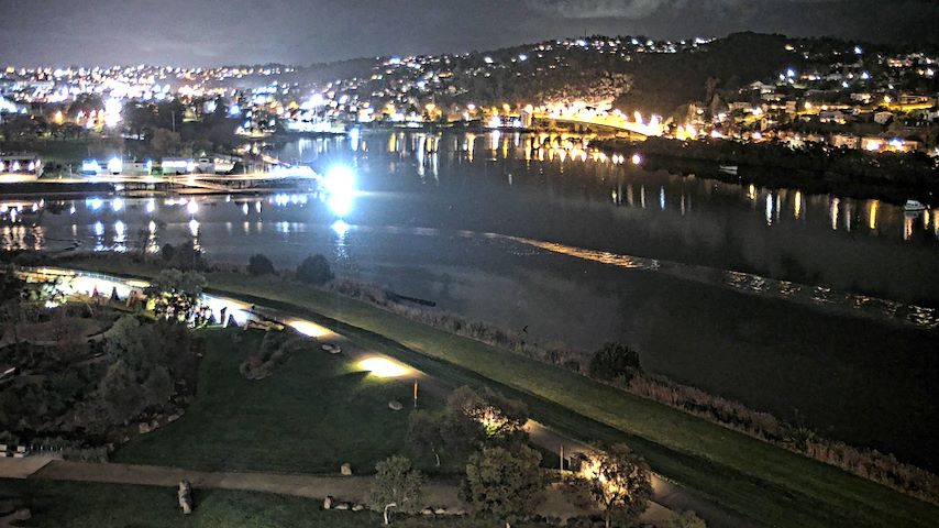 Tamar Estuary Image