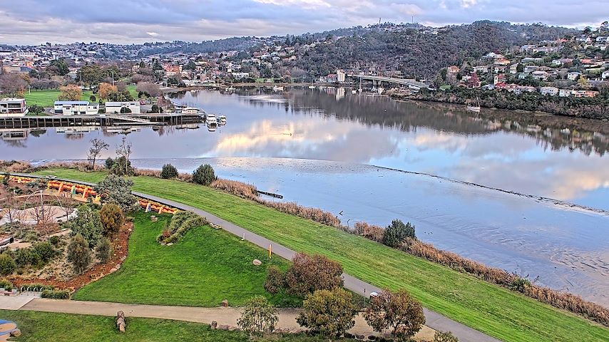 Tamar Estuary Image