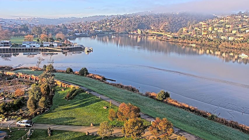 Launceston, Tasmania में Tamar Estuary से लाइव कैमरा चैनल