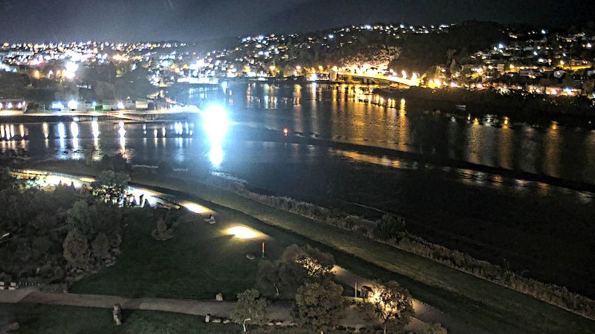 Tamar Estuary Image