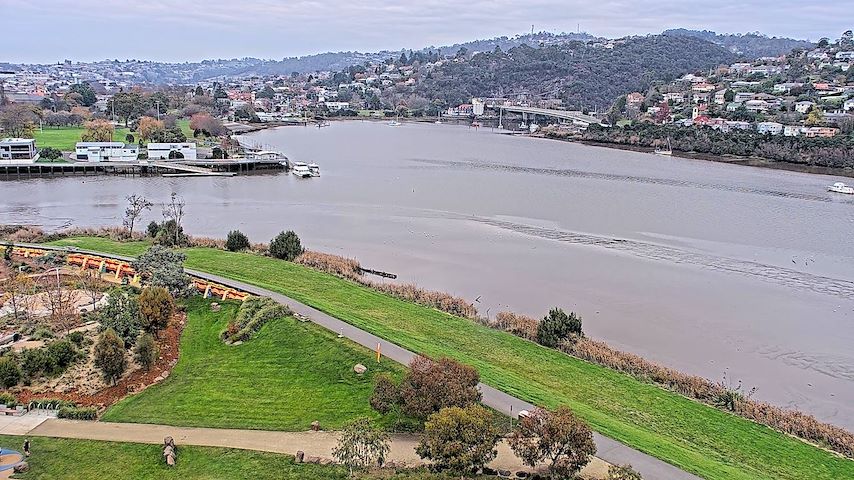 Tamar Estuary Image