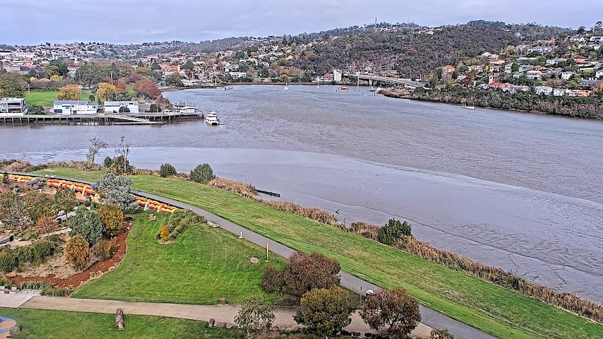 Tamar Estuary Image