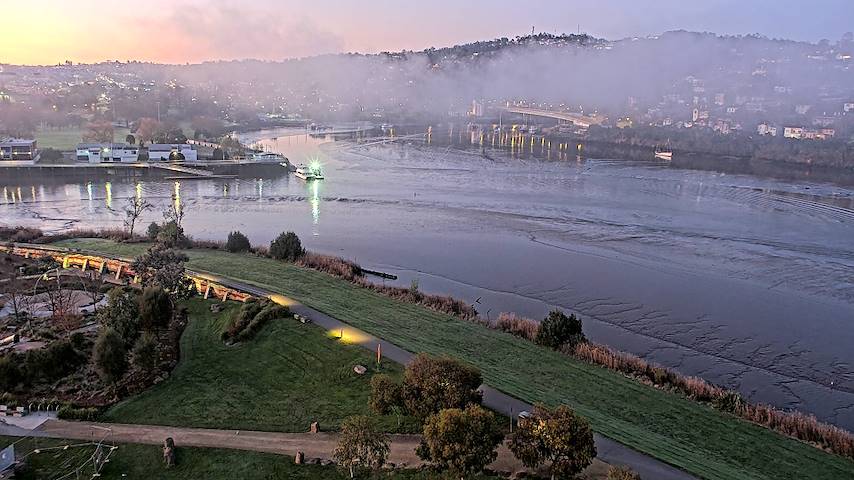 Live kamerakanal fra Tamar Estuary i Launceston, Tasmania