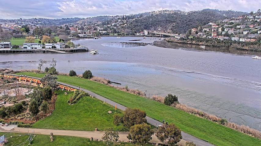 Live camera feed from Tamar Estuary in Launceston, Tasmania