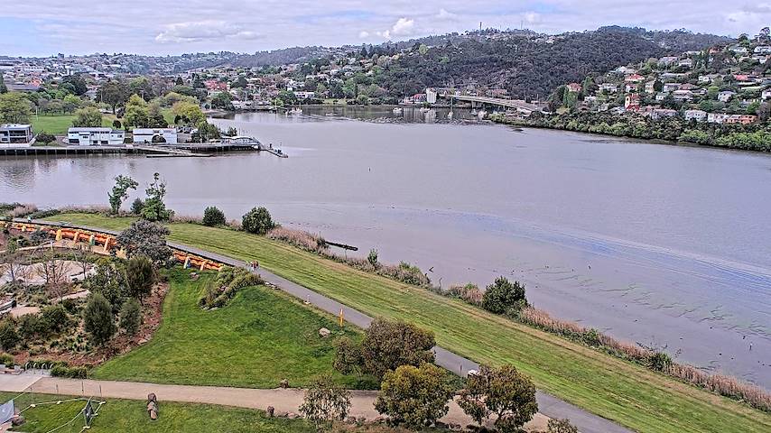 Live camera feed from Tamar Estuary in Launceston, Tasmania