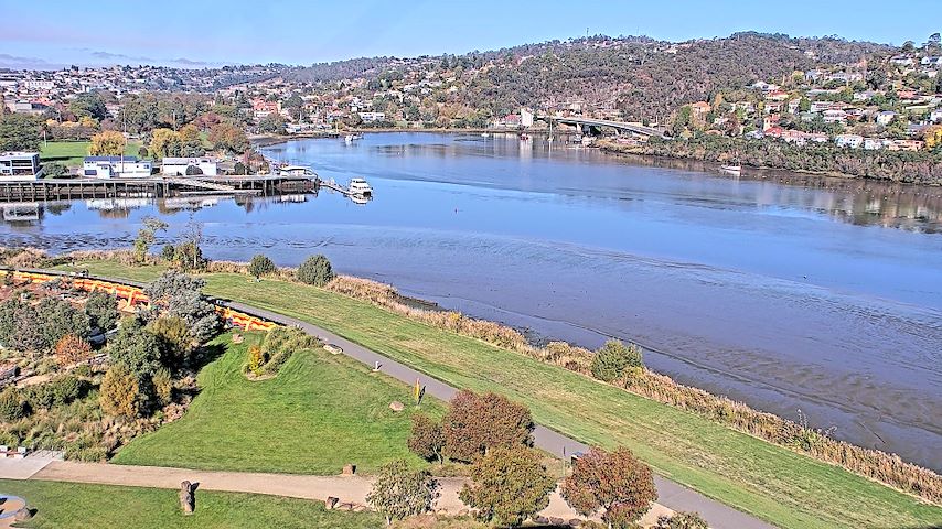 Tamar Estuary Image