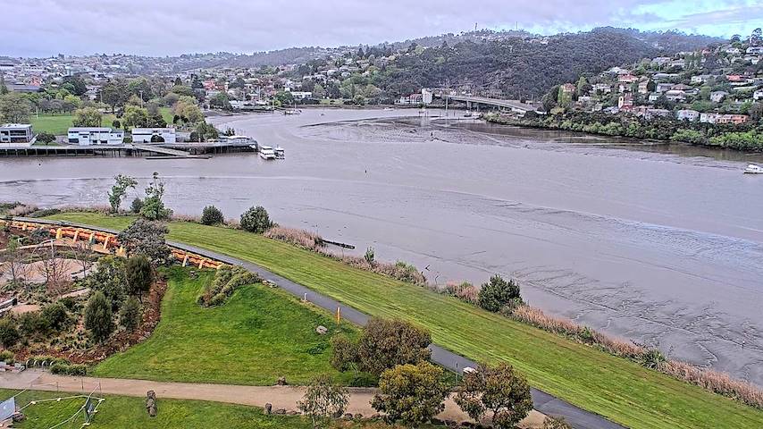 Live camera feed from Tamar Estuary in Launceston, Tasmania