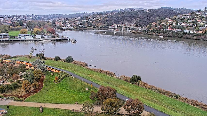 Tamar Estuary Image