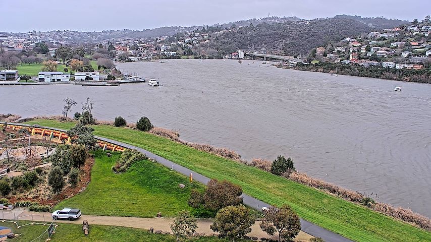 Élő kameracsatorna Tamar Estuary-ból Launceston, Tasmania-ben