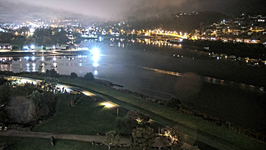 Tamar Estuary Image