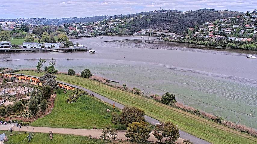 Live camera feed from Tamar Estuary in Launceston, Tasmania