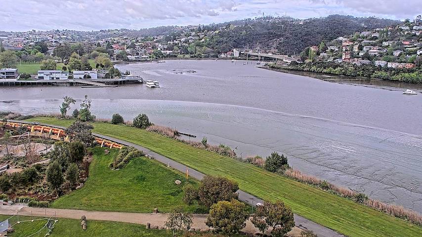 Live camera feed from Tamar Estuary in Launceston, Tasmania