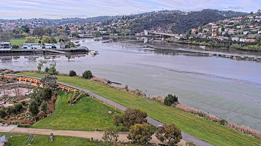 Live camera feed from Tamar Estuary in Launceston, Tasmania