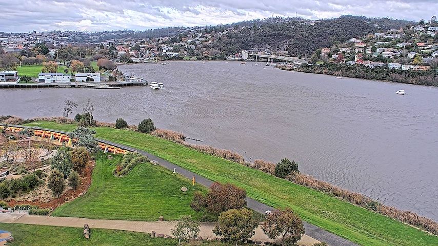 Tamar Estuary Image