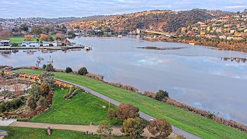 Tamar Estuary Image