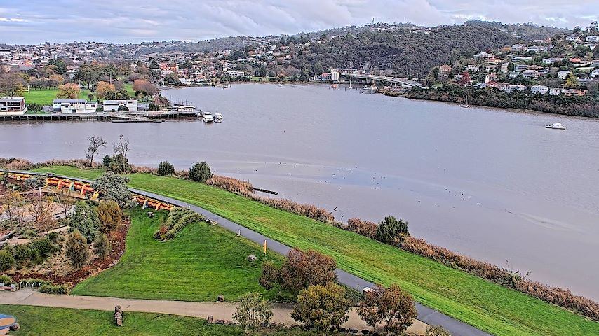Tamar Estuary Image