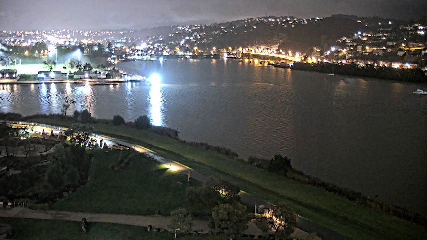 Tamar Estuary Image