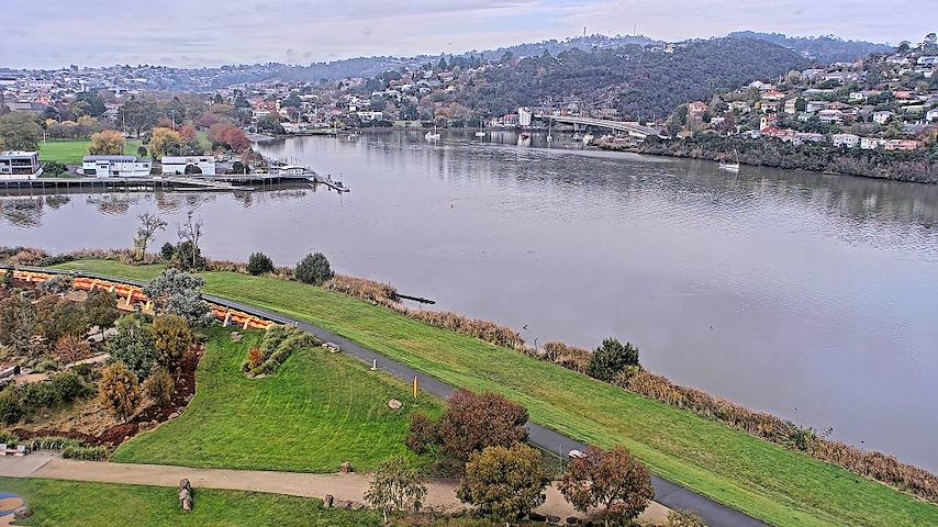 Tamar Estuary Image