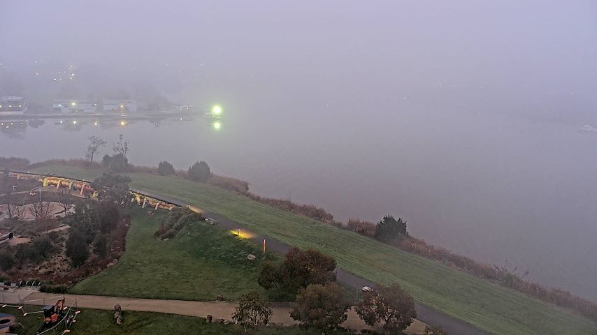 Tamar Estuary からのライブカメラチャンネル（Launceston, Tasmania）