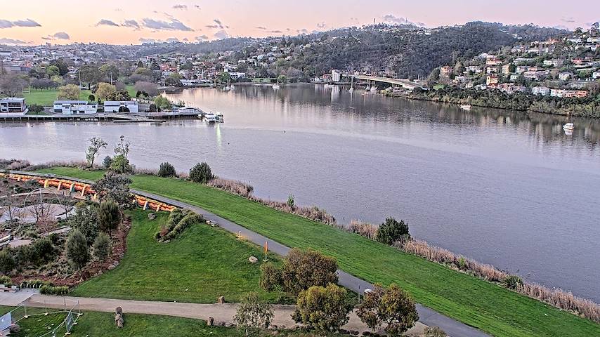 Live camera feed from Tamar Estuary in Launceston, Tasmania
