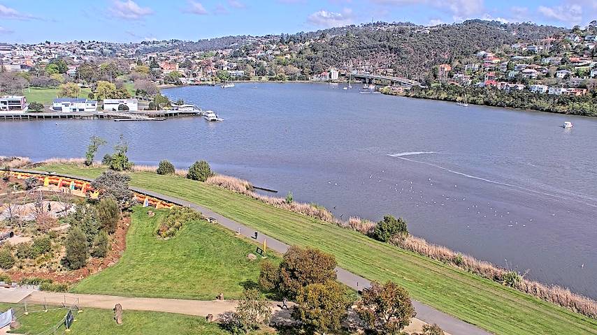 Live camera feed from Tamar Estuary in Launceston, Tasmania