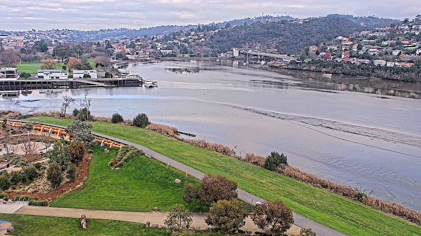 Tamar Estuary Image