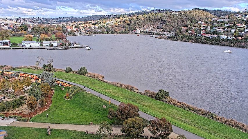 Tamar Estuary Image