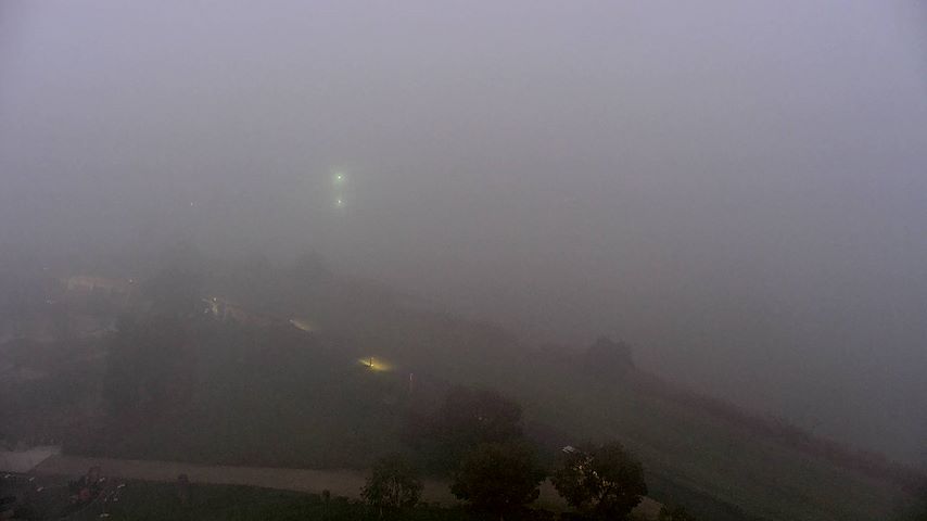Live camera feed from Tamar Estuary in Launceston, Tasmania