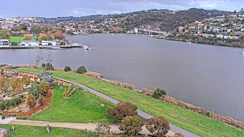 Tamar Estuary Image