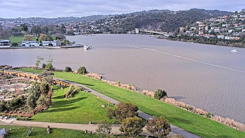 Live camera feed from Tamar Estuary in Launceston, Tasmania