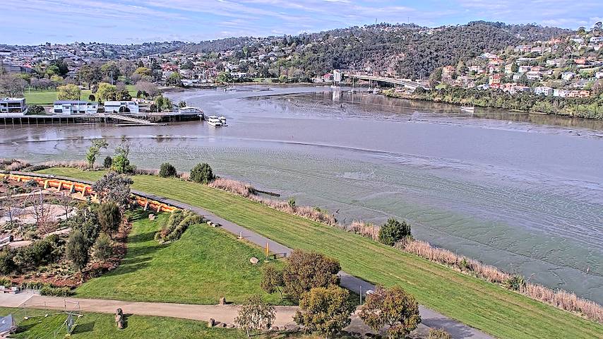 Live camera feed from Tamar Estuary in Launceston, Tasmania