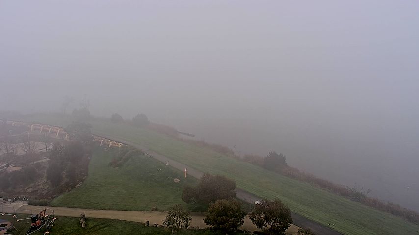 Live camera feed from Tamar Estuary in Launceston, Tasmania