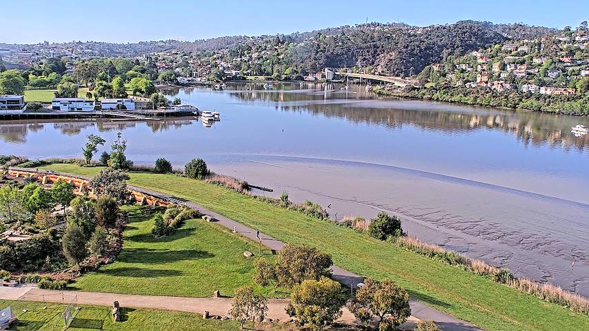 Live camera feed from Tamar Estuary in Launceston, Tasmania