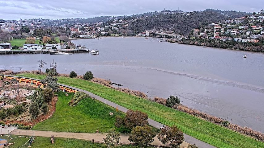 Tamar Estuary'dan Launceston, Tasmania'e canlı kamera kanalı