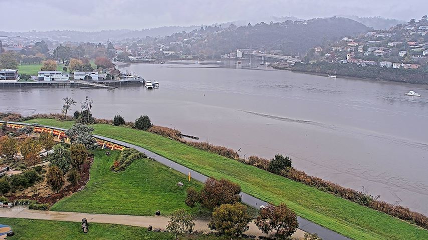 Tamar Estuary Image