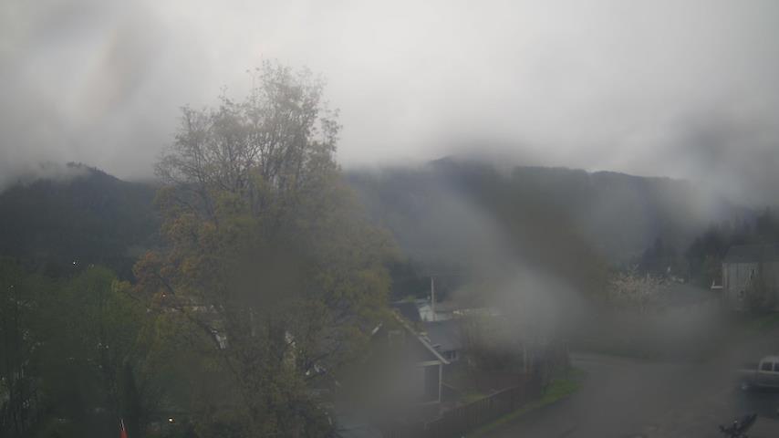 Mt. Hayes Image