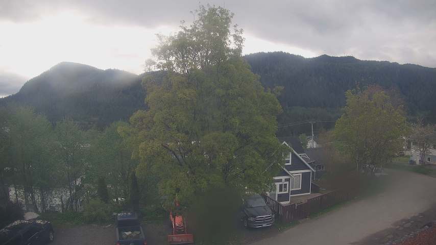 Mt. Hayes Image