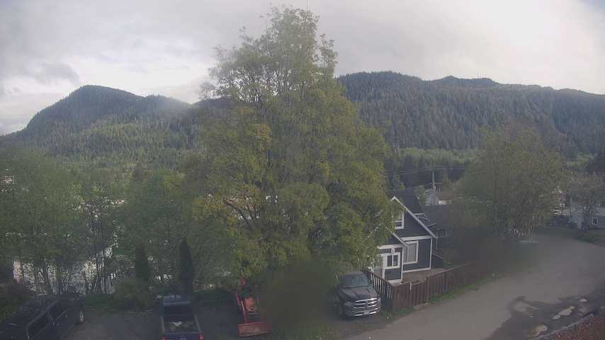 Mt. Hayes Image