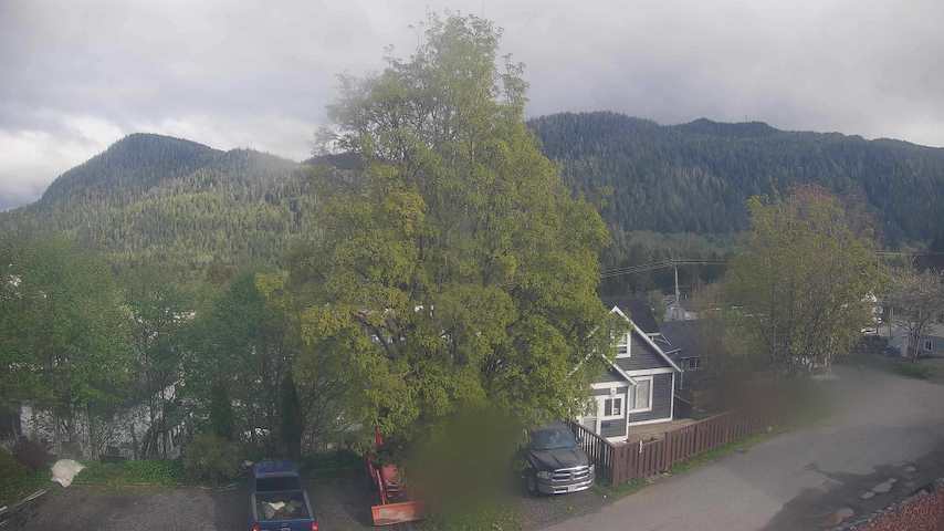 Mt. Hayes Image