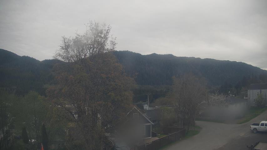 Mt. Hayes Image