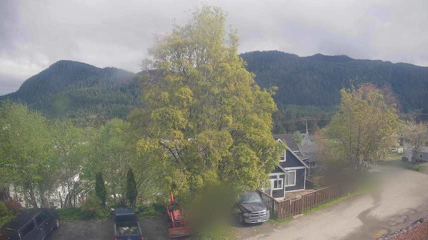Mt. Hayes Image