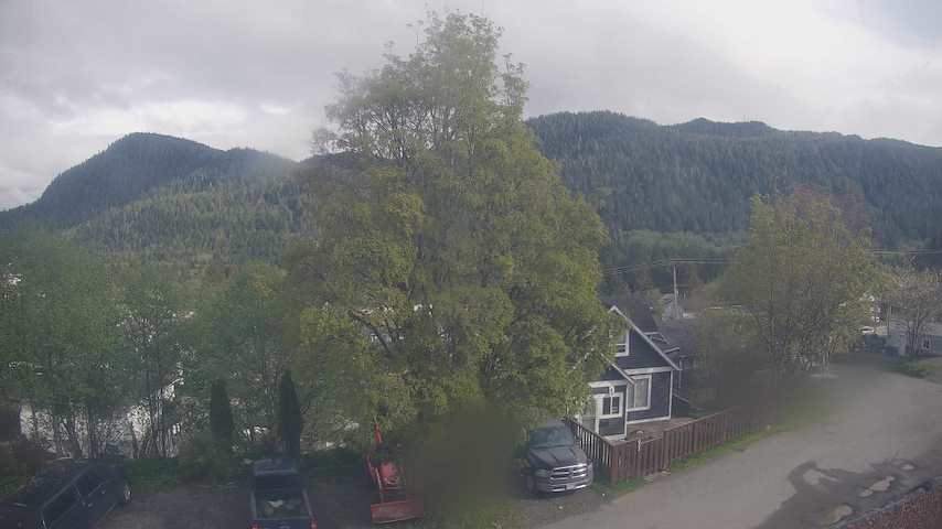 Mt. Hayes Image