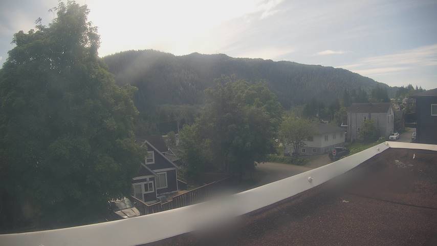 Mt. Hayes Image