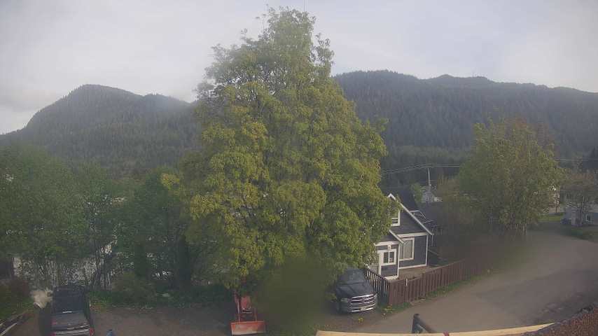 Mt. Hayes Image